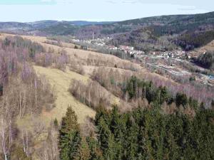 Prodej pole, Kraslice, 3869 m2