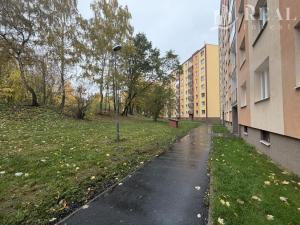 Pronájem bytu 1+1, Chomutov, Holešická, 35 m2