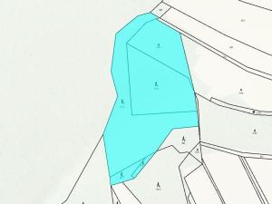 Prodej lesa, Drozdov, 11901 m2