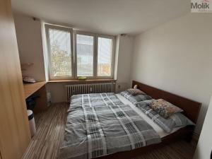 Pronájem bytu 3+1, Most, Maxe Švabinského, 54 m2