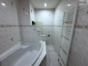 Pronájem bytu 3+1, Most, Maxe Švabinského, 54 m2