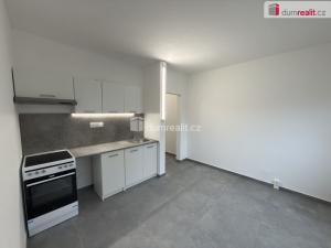 Pronájem bytu 1+kk, Ústí nad Labem, Glennova, 19 m2