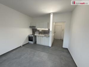 Pronájem bytu 1+kk, Ústí nad Labem, Glennova, 19 m2