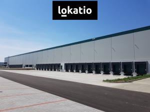 Pronájem skladu, Úžice, 5667 m2