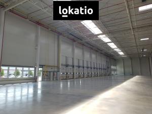 Pronájem skladu, Úžice, 5667 m2