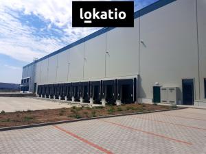 Pronájem skladu, Úžice, 5667 m2