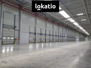 Pronájem skladu, Úžice, 14707 m2