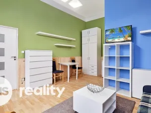 Pronájem bytu 1+kk, Opava - Město, Nákladní, 32 m2