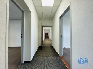 Pronájem kanceláře, Plzeň - Jižní Předměstí, náměstí T. G. Masaryka, 365 m2