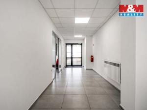 Pronájem kanceláře, Děčín - Děčín II-Nové Město, Benešovská, 320 m2