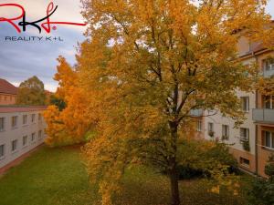 Pronájem bytu 2+1, Mělník, nám. Gen. Swierczewského, 54 m2