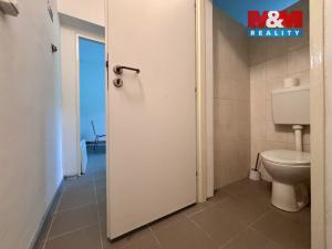 Pronájem skladu, Čestice, 650 m2