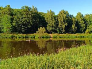 Prodej louky, Nižbor - Žloukovice, 1665 m2