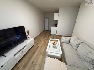 Prodej bytu 2+kk, Most, Lipová, 40 m2