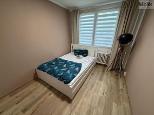 Prodej bytu 2+kk, Most, Lipová, 40 m2