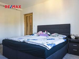 Prodej rodinného domu, Pardubice, Boženy Němcové, 338 m2