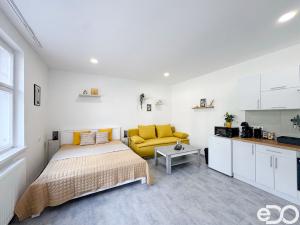 Pronájem bytu 1+kk, Liberec, Mlýnská, 28 m2