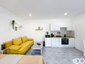 Pronájem bytu 1+kk, Liberec, Mlýnská, 28 m2