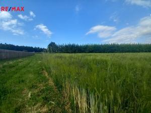 Prodej pole, Doubravice, 17750 m2