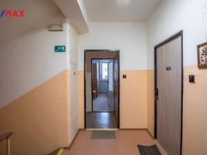 Prodej bytu 2+1, Litvínov - Horní Litvínov, Tylova, 55 m2