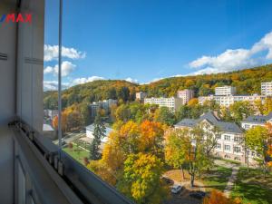 Prodej bytu 2+1, Litvínov - Horní Litvínov, Tylova, 55 m2