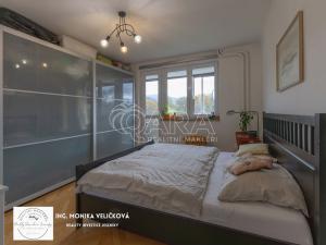 Prodej bytu 3+1, Frýdlant nad Ostravicí - Lubno, 86 m2