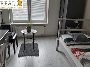 Pronájem bytu 1+kk, Brno, Pražská, 23 m2