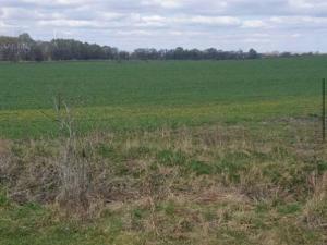 Dražba zahrady, Plzeň, 7558 m2