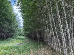 Prodej pole, Česká Kamenice, 108179 m2