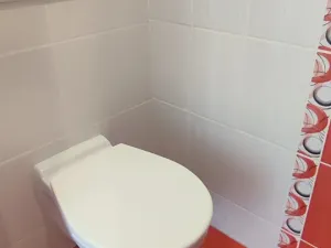 Pronájem bytu 1+1, Ostrava, Ahepjukova, 37 m2