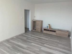 Pronájem bytu 1+1, Ostrava, Ahepjukova, 37 m2