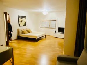 Pronájem bytu 1+kk, Praha - Žižkov, Jeseniova, 67 m2