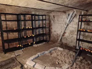 Prodej chalupy, Stříbrnice, 90 m2