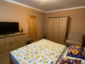 Pronájem bytu 1+1, Sušice - Sušice II, Volšovská, 36 m2