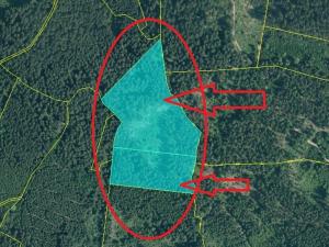 Prodej podílu pole, Nicov, 2230 m2