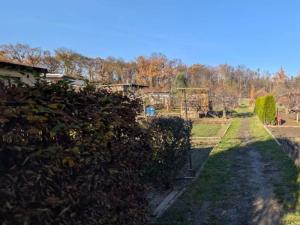 Prodej zahrady, Přerov - Přerov I-Město, 268 m2