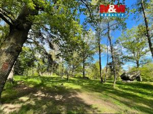 Prodej lesa, Petrovice - Žemličkova Lhota, 3719 m2