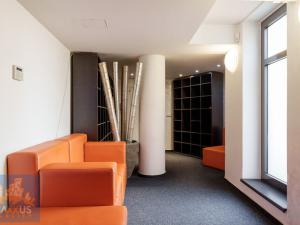 Pronájem obchodního prostoru, Praha - Vinohrady, Chrudimská, 360 m2