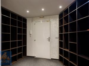 Pronájem obchodního prostoru, Praha - Vinohrady, Chrudimská, 360 m2