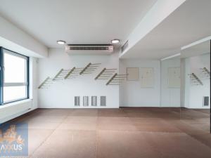 Pronájem obchodního prostoru, Praha - Vinohrady, Chrudimská, 360 m2