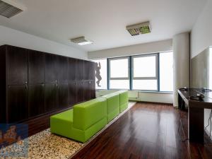 Pronájem obchodního prostoru, Praha - Vinohrady, Chrudimská, 360 m2