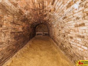 Prodej - jiné, Nový Šaldorf-Sedlešovice - Nový Šaldorf, 145 m2