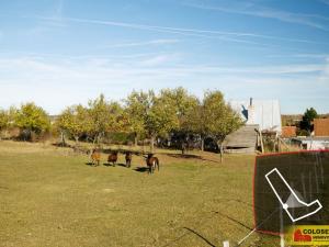 Prodej - jiné, Nový Šaldorf-Sedlešovice - Nový Šaldorf, 145 m2