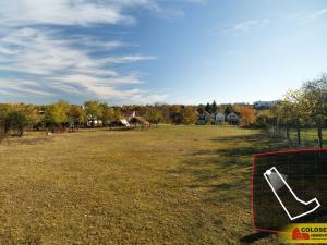 Prodej - jiné, Nový Šaldorf-Sedlešovice - Nový Šaldorf, 145 m2