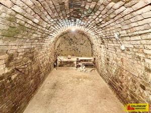 Prodej - jiné, Nový Šaldorf-Sedlešovice - Nový Šaldorf, 145 m2