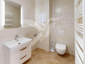 Pronájem bytu 2+kk, Plzeň, Nad Dvorem, 52 m2