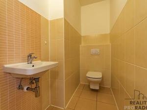 Pronájem rodinného domu, Ostrava, U Váhy, 296 m2