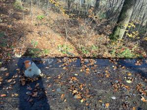 Prodej chaty, Petrovice, 43 m2