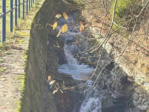 Prodej chaty, Petrovice, 43 m2