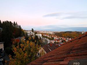 Pronájem bytu 2+kk, Brno, Kluchova, 77 m2